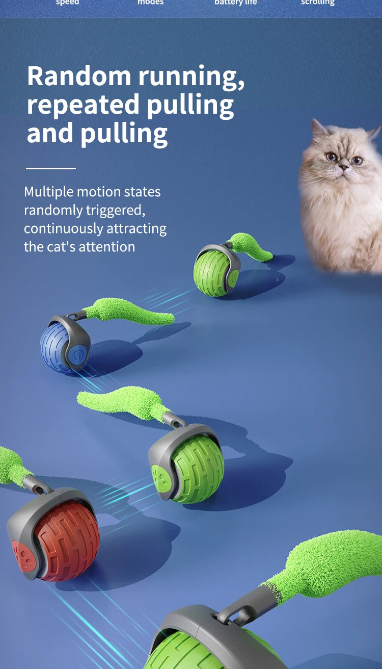 Interactive Smart Rolling Cat Toy Ball