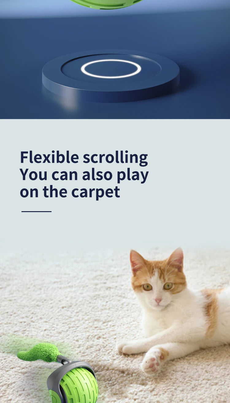 Interactive Smart Rolling Cat Toy Ball