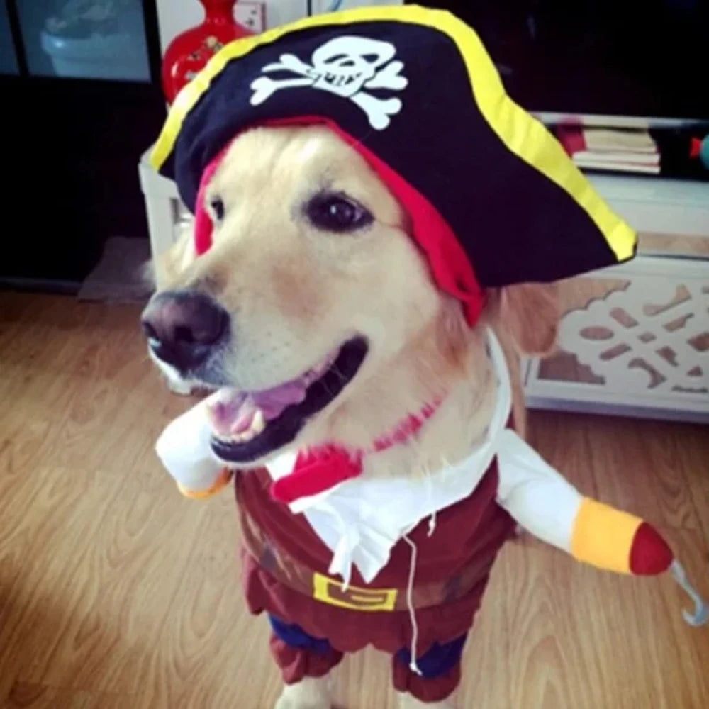 Dog Pirate Halloween Costume