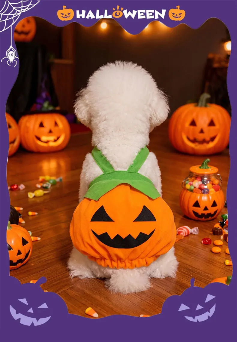 Dog Pumpkin Halloween Costume