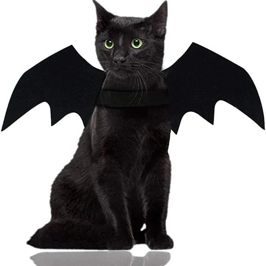 Cat Bat Wings Halloween Costume