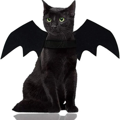 Cat Bat Wings Halloween Costume