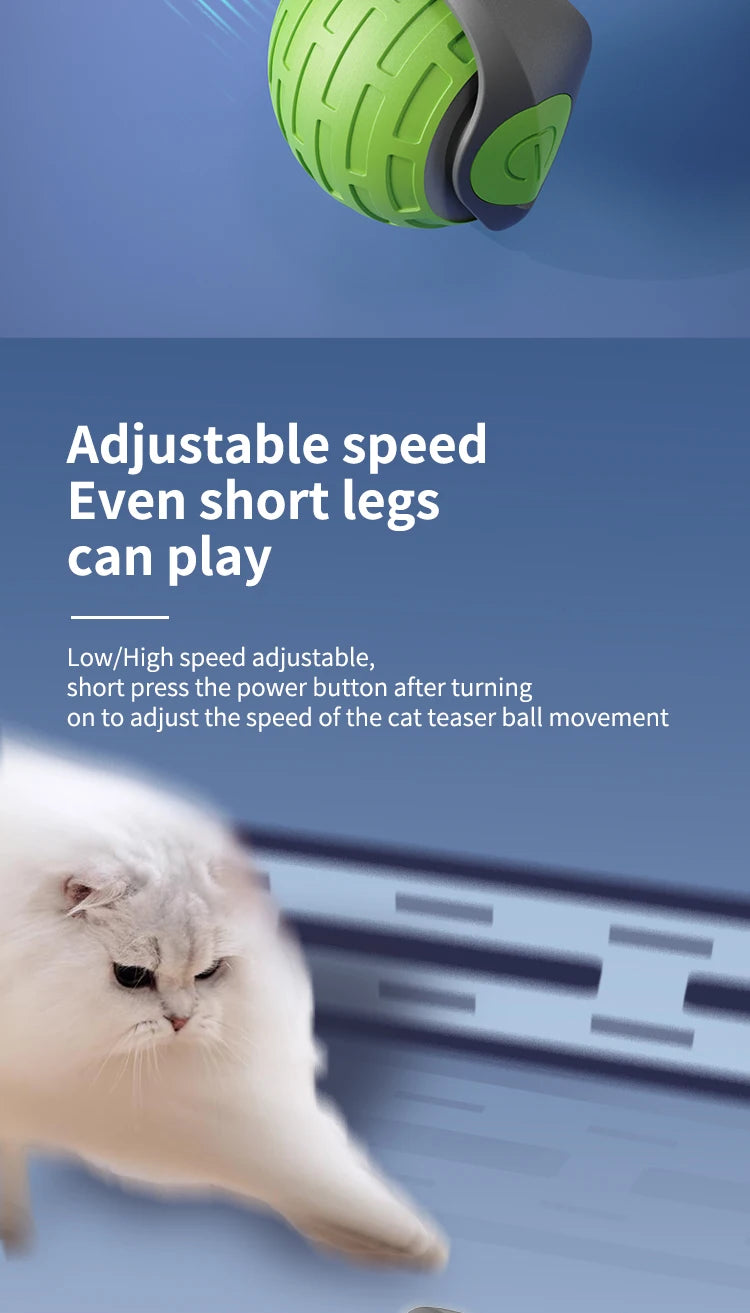 Interactive Smart Rolling Cat Toy Ball