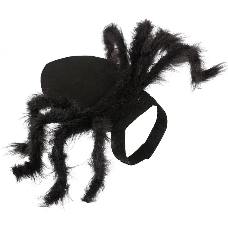 Dog Spider Halloween Costume