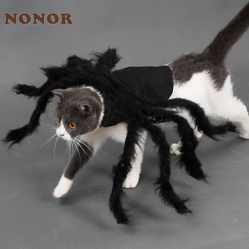 Dog Spider Halloween Costume